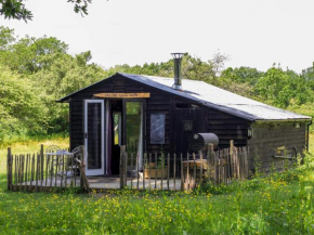 Отель The Old Apple Shed cosy heated cottage in a meadow close to the charming village of Bethersden  Эшфорд